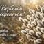 С Вербным воскресеньем!