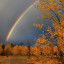 Осеннее настроение