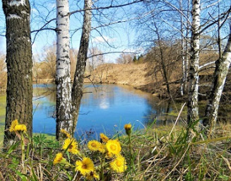 Апрель шагает по дорожке
