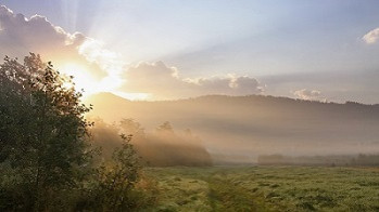 Ранним утром