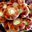 Хочу быть очень старенькой