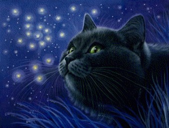 Чёрная кошка