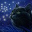Чёрная кошка