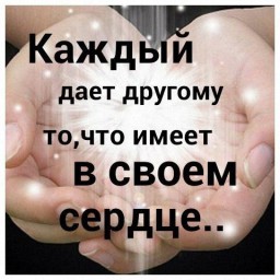 Сынок не жди от 17. 01. 2019