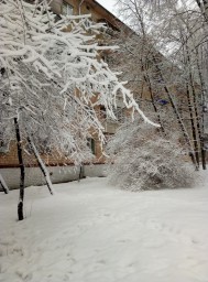 Пусть январь от 12. 01. 2019г