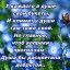 Созвучие стихов от 18. 02. 2019г