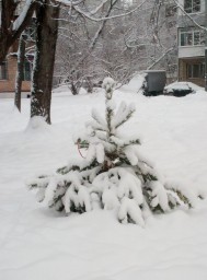 Снег идет от 26. 01. 2019