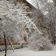Пусть январь от 12. 01. 2019г