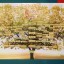 История, корни и гордость семьи