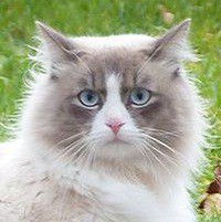 Сергей Истомин
