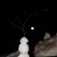 О новом счастье