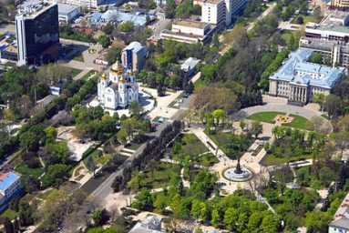 Кубань моя несравненная