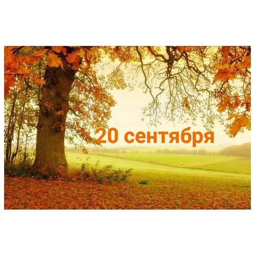 20 сентября: день спонтанных чаепитий