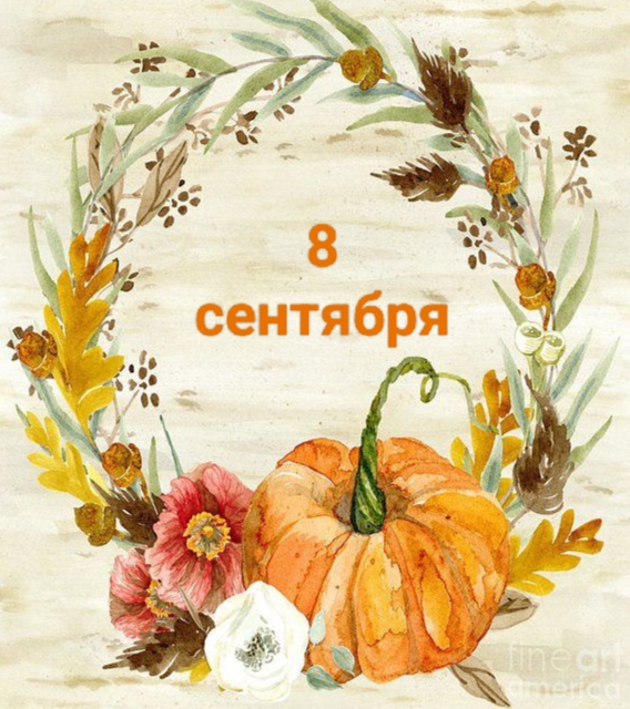 8 сентября: Международный день грамотности