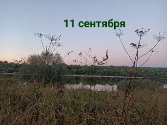 11 сентября: смотрим мимо рюмки, ищем гуся в небе