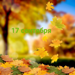 17 сентября: день разговоров с городом