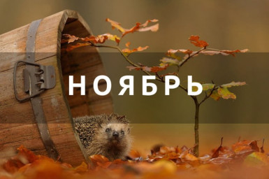 Месяц прощания с осенью и общения с собой