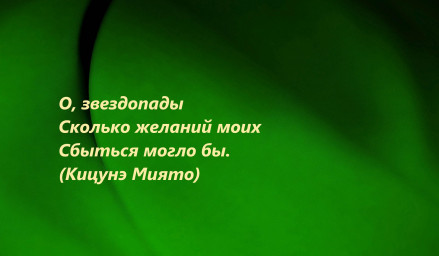 Хокку плюс... ? Вариации на тему японской поэзии
