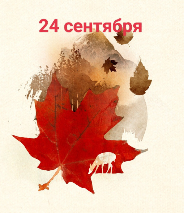 24 сентября: день незапланированных безумств