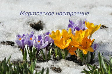 Генеральная уборка, бэкап и весеннее обновление
