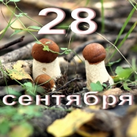 28 сентября: приглядитесь к мелочам!