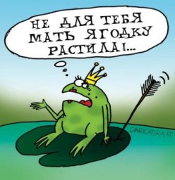 Жених. Глава 6. Новые перспективы