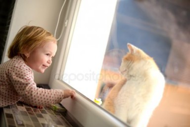 Кот