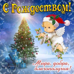Белые ангелы