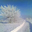 Бриллианты