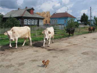 У бабушки