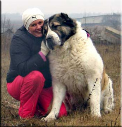 Бригада