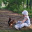 Сказочный лес