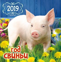 Год СВИНЬИ