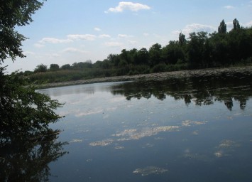 Станица