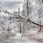Был ливень