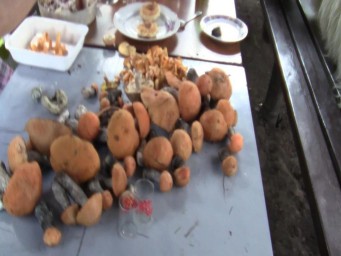 Мишкина Поляна