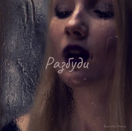 Разбуди