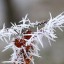Кошмарное время