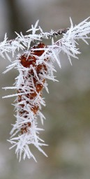 Кошмарное время