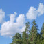 Летнее