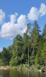 Летнее