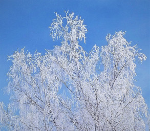 Утреннее первофевральское