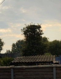 Ещё не осень