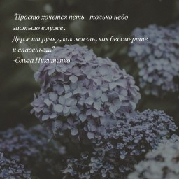 Поэтесса