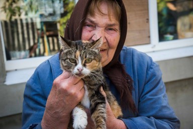 Донецкая бабушка
