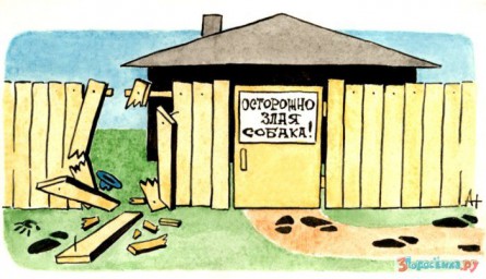 Вдоль забора бабы Вали