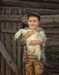 "Я гусей пока не видел"