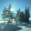 Как люди полюбили Зиму