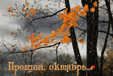 Франсуа Коппе "Утро Октября", с французского