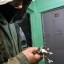 СМЕРТЬ ДОМУШНИКА (в сокращении)